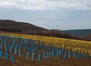 В оккупированном Крыму фермер сделал сине-желтое поле (ФОТО)