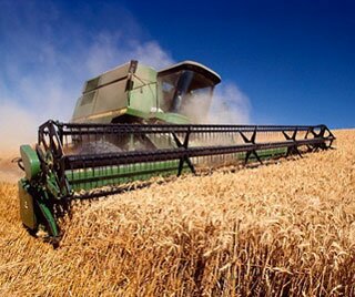 Аграрнии просят Януковича ветировать зерновые пошлины