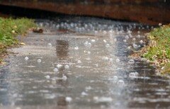 Погода: на большей части страны дожди и грозы