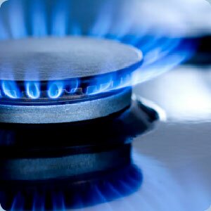 Бойко: Украина хочет закупать российский газ по $100