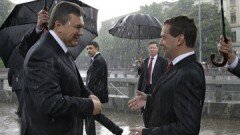 Янукович и Медведев снова поговорят о Таможенном союзе
